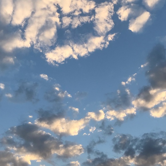 Meet your Posher, Sophia - Picture 1 of 1